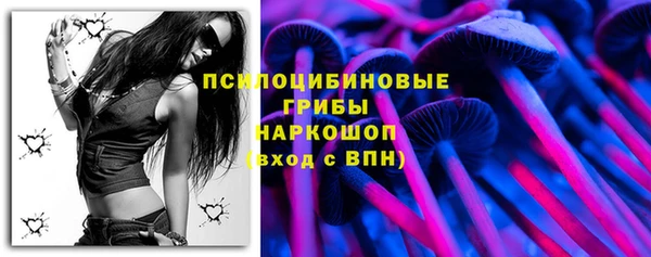 ГАЛЛЮЦИНОГЕННЫЕ ГРИБЫ Балахна